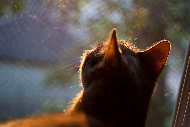 球员在转换进攻中节奏的临场判断能力，转身进攻犯规